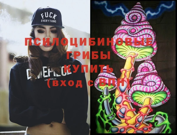 ПСИЛОЦИБИНОВЫЕ ГРИБЫ Богородицк